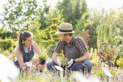 Garden maintenance service at work in Hoxton